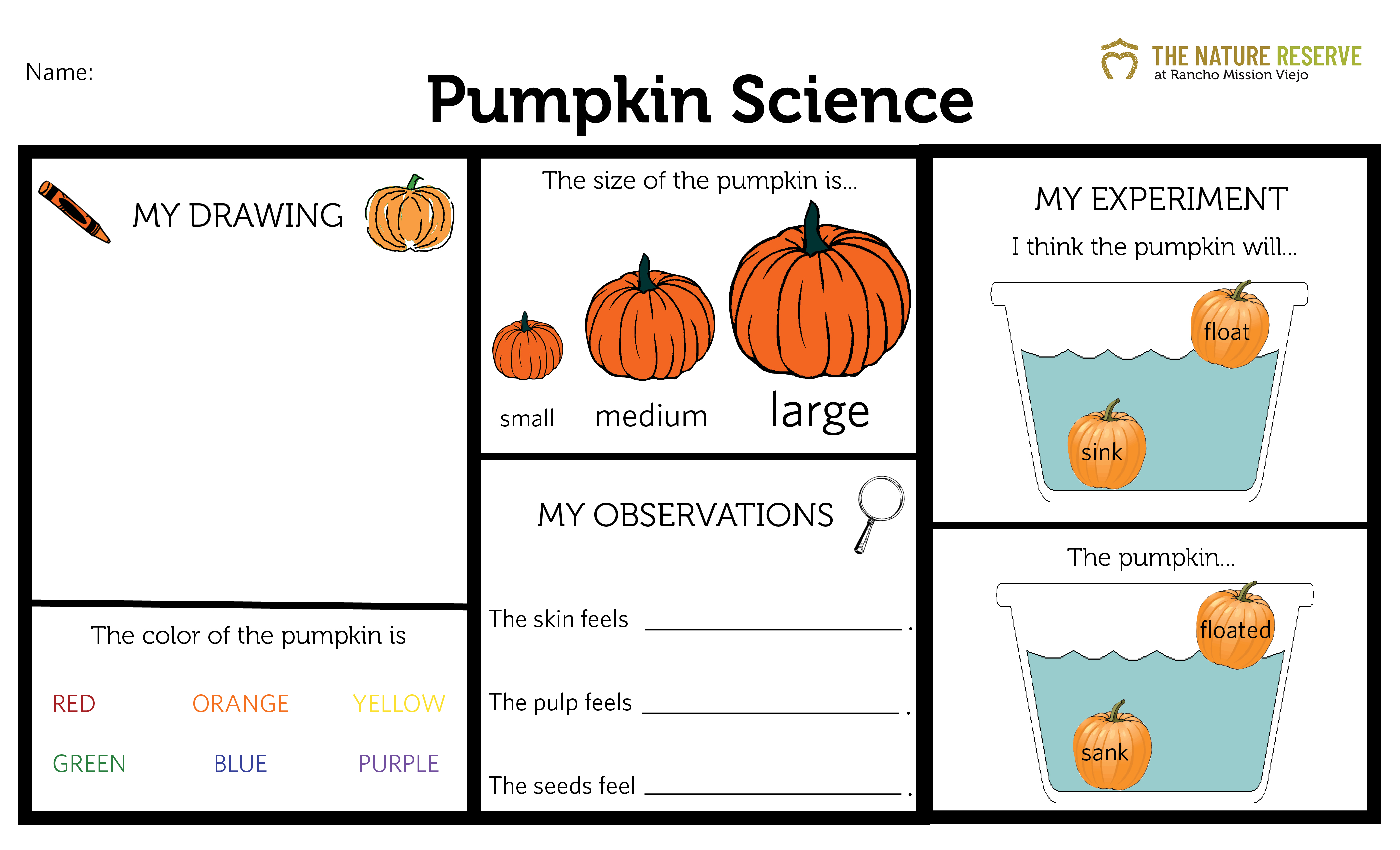 Pumpkin & Acorn Science Printables