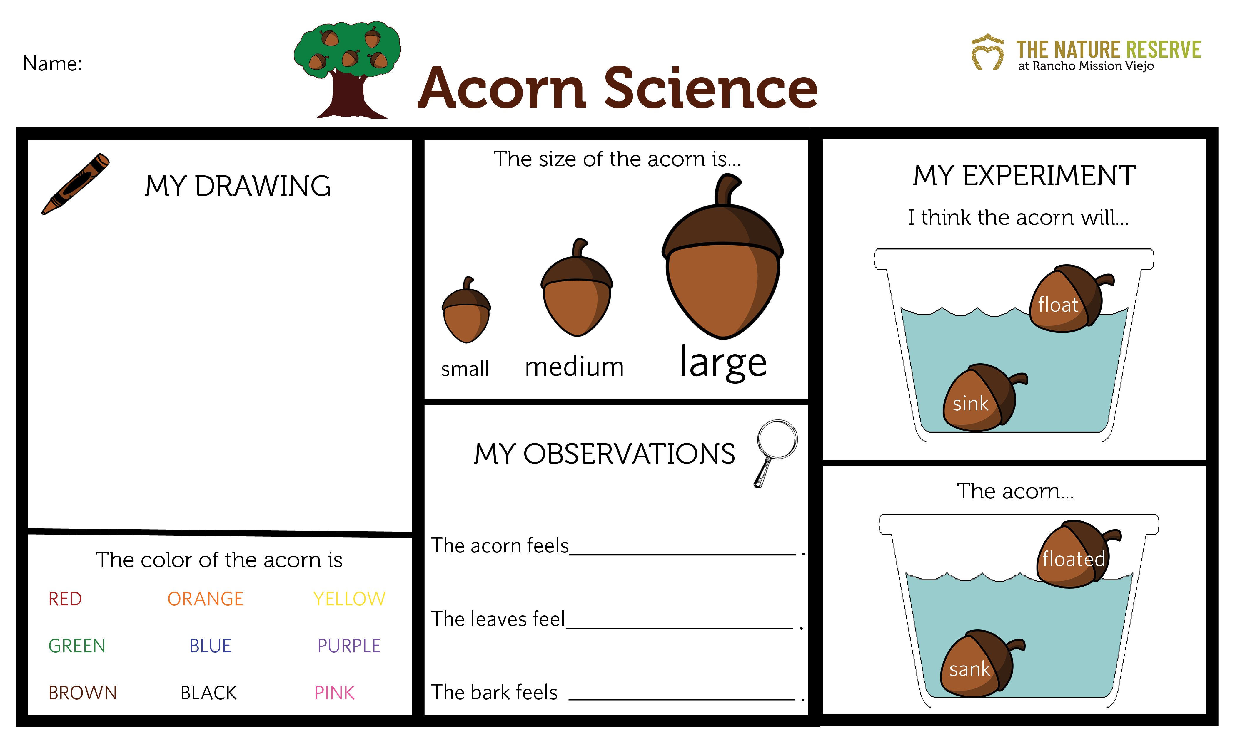 acorn science printable